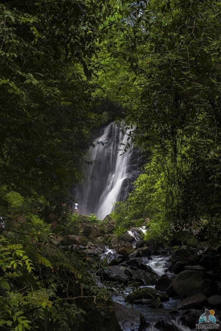 Sinharaja Rainforest